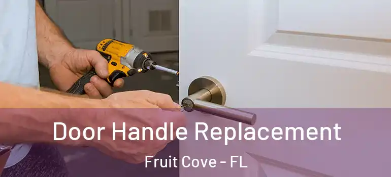  Door Handle Replacement Fruit Cove - FL