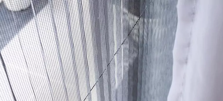 Fixing Screen Window Mesh in Fruit Cove, FL
