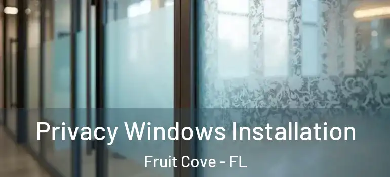  Privacy Windows Installation Fruit Cove - FL